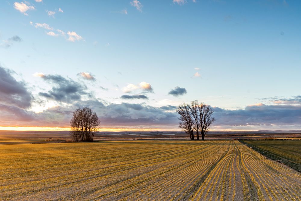 Ultimos rayos de sol