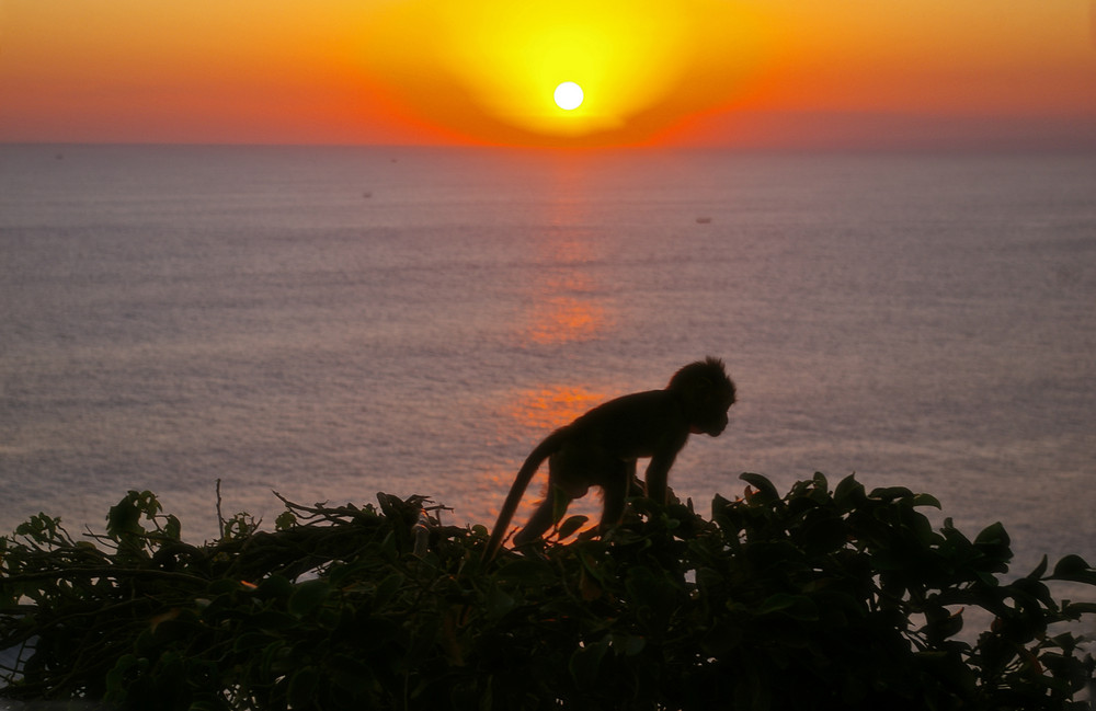 Ulu Watu