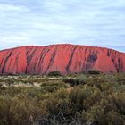 Uluru