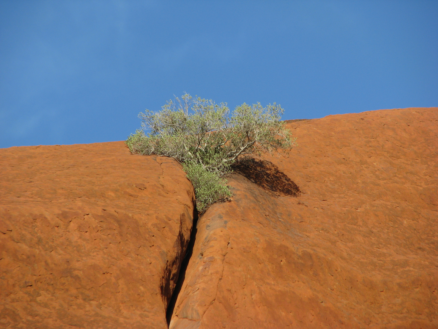 Uluru