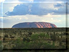 ULURU