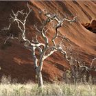 Uluru #2