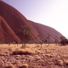 Uluru 2002