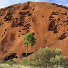 Uluru