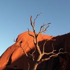 Uluru