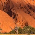 Uluru