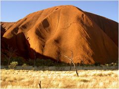 *Uluru*