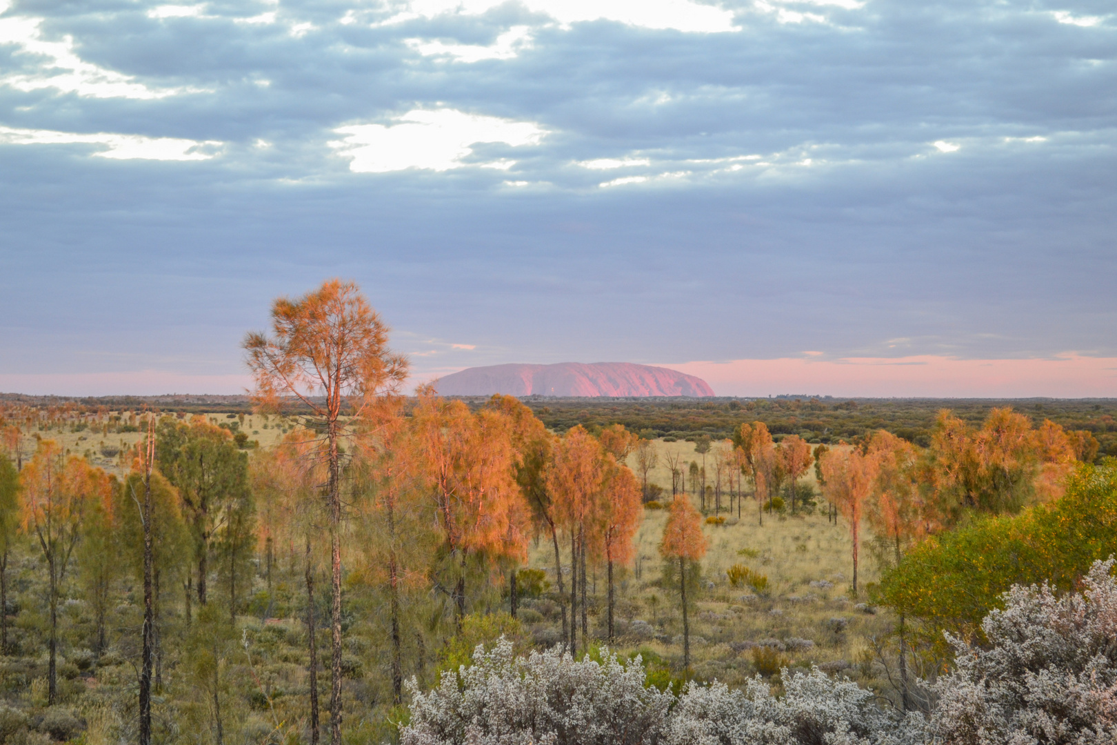 Uluru.