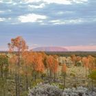 Uluru.