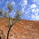 Uluru