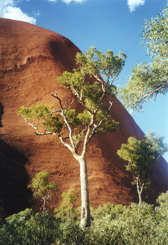 Uluru