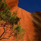 Uluru