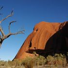 Uluru