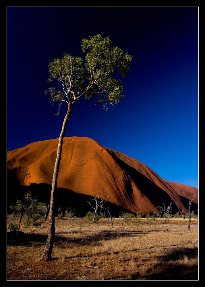 ~Uluru~