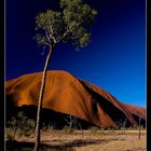 ~Uluru~