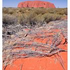 Uluru