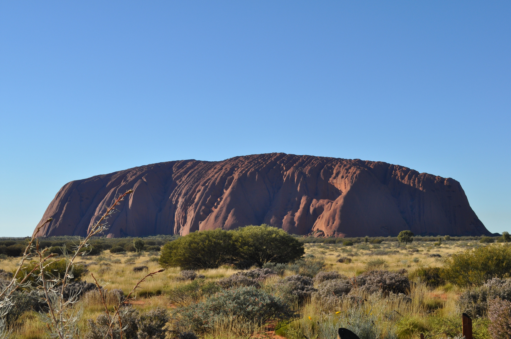 Uluru