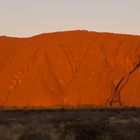 Uluru Abendstimmung (Zentral Australien)