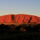 Uluru