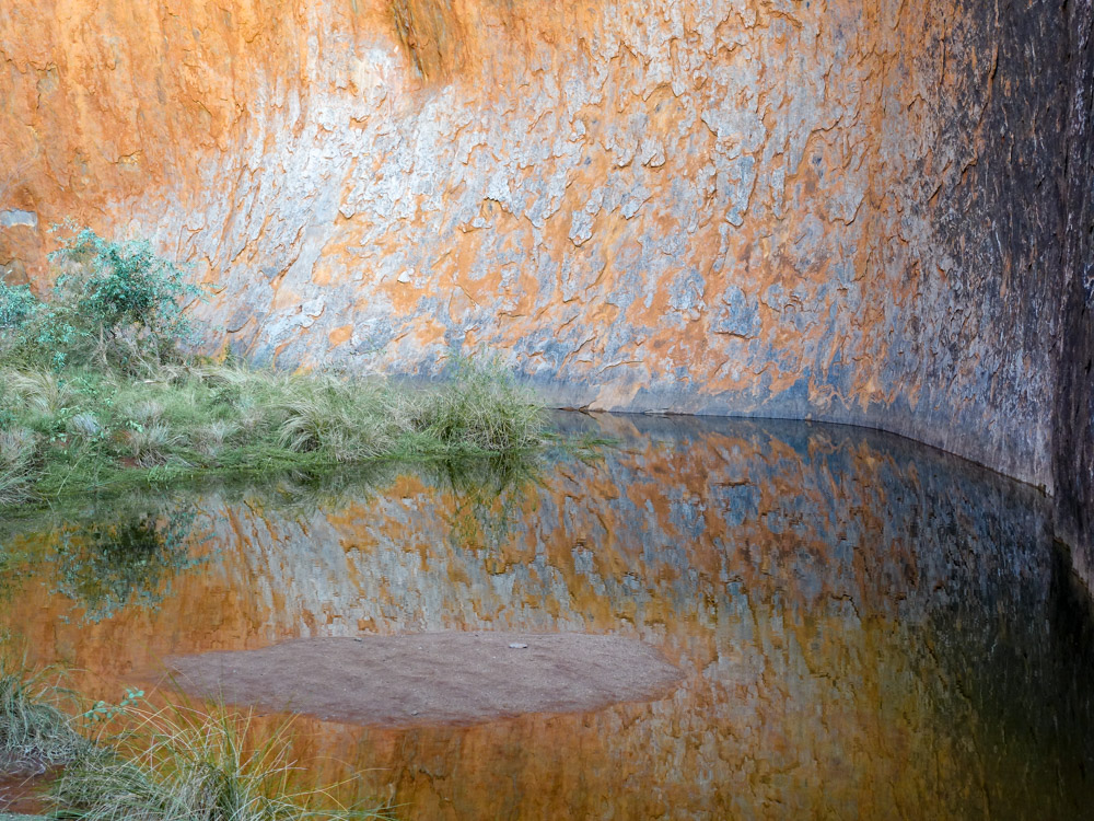 Uluru - Am Wasserloch