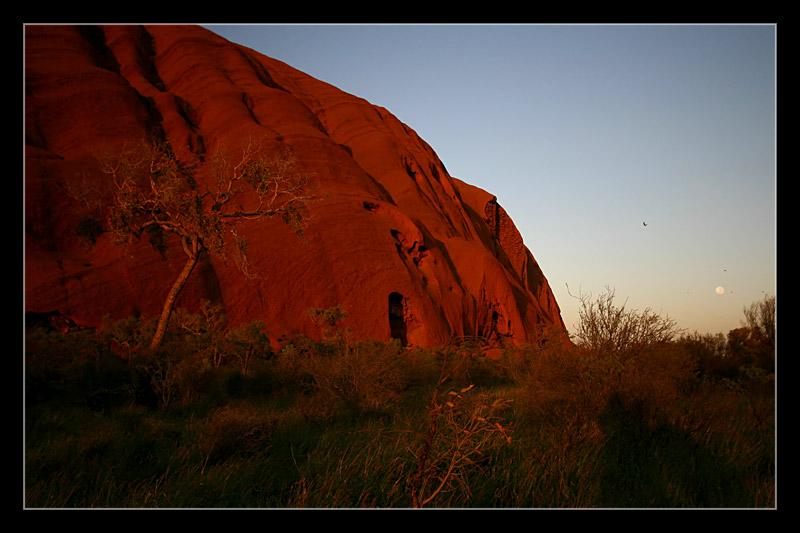 Uluru am Weihnachtsmorgen II