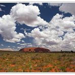Uluru - Annäherung