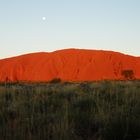 Uluru - Australien