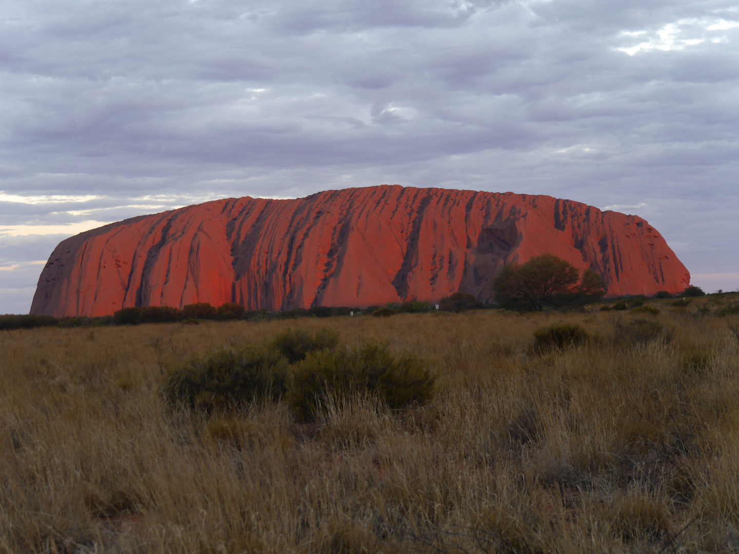 Uluru  -  Ayers Rock