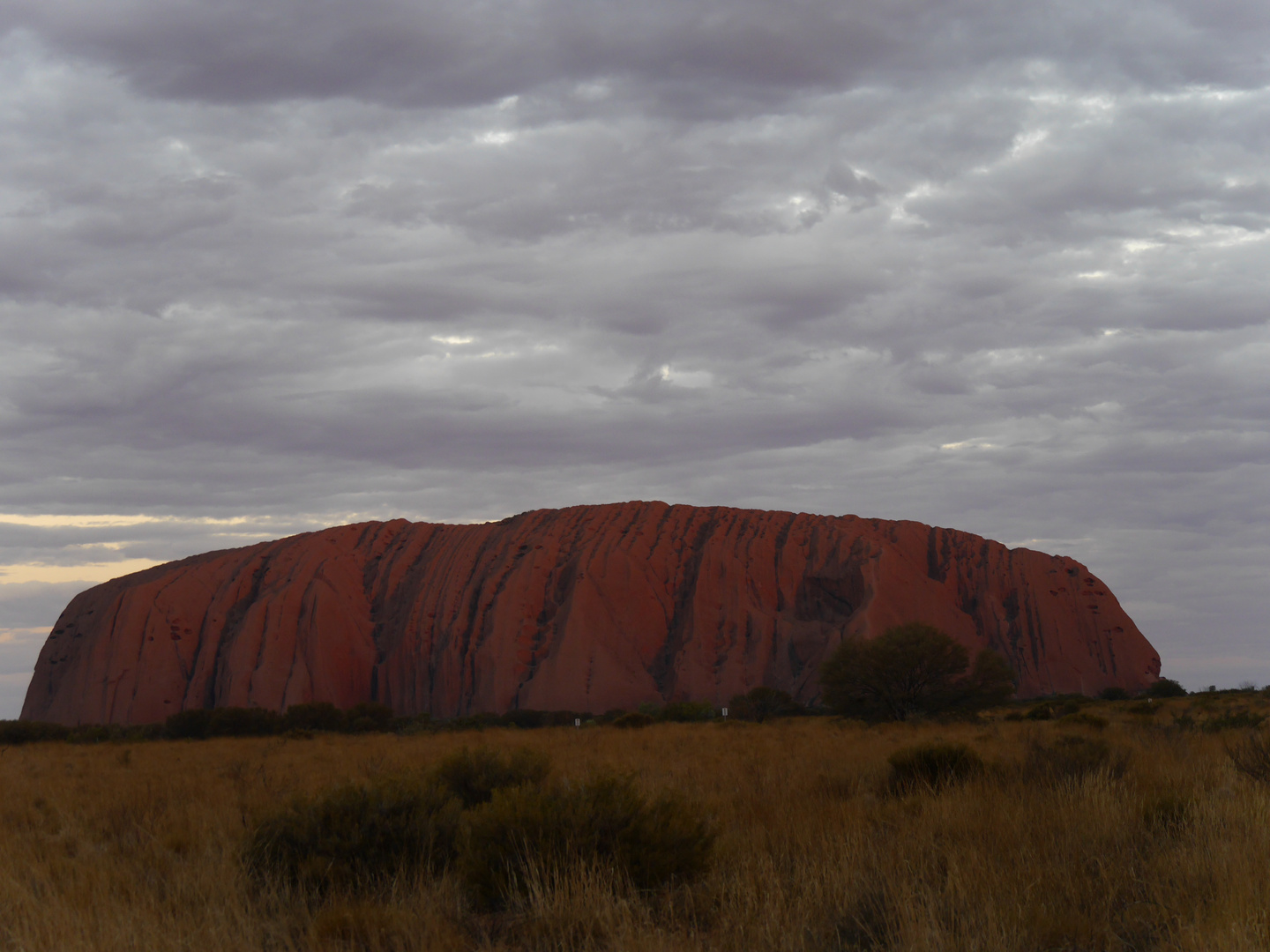 Uluru  -  Ayers Rock