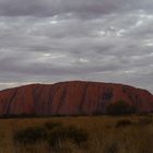 Uluru  -  Ayers Rock