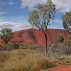 Uluru / Ayers Rock / Australien