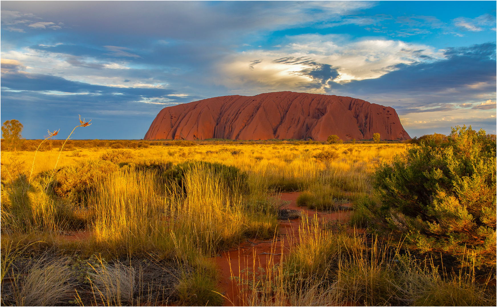 Uluru / Ayers Rock