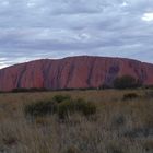 Uluru  -  Ayers Rock