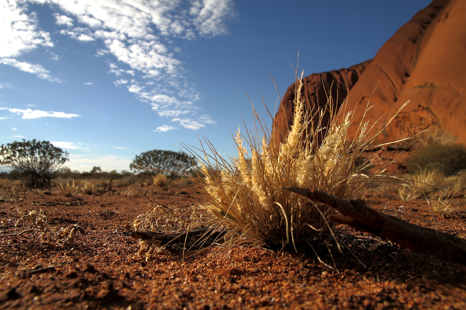 Uluru Base Walk