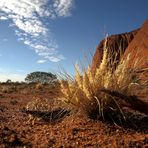 Uluru Base Walk