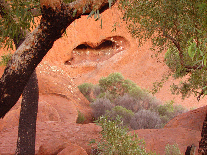 Uluru Base Walk Detail 2