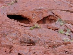 Uluru Base Walk Detail 4