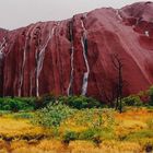 Uluru Base Walk Detail3