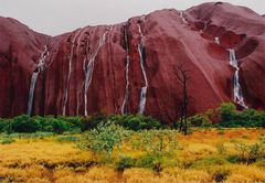 Uluru Base Walk Detail3