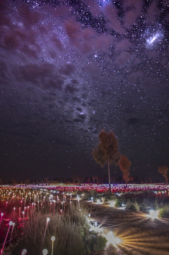 Uluru between Field of Light and Milky Way