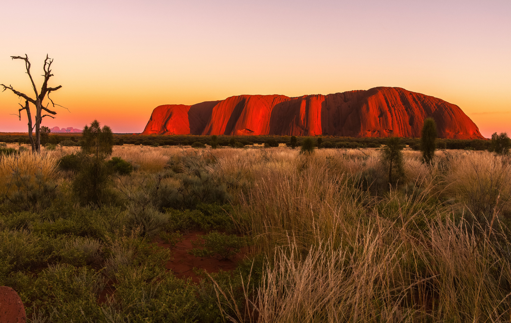 Uluru- der mystische Felsen zum Sonnenaufgang