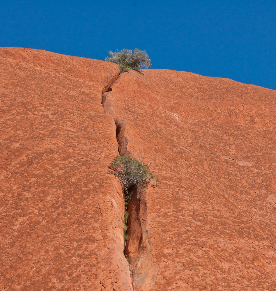 ULURU - Detail