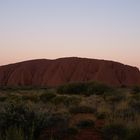 uluru, die (leider) letzte...