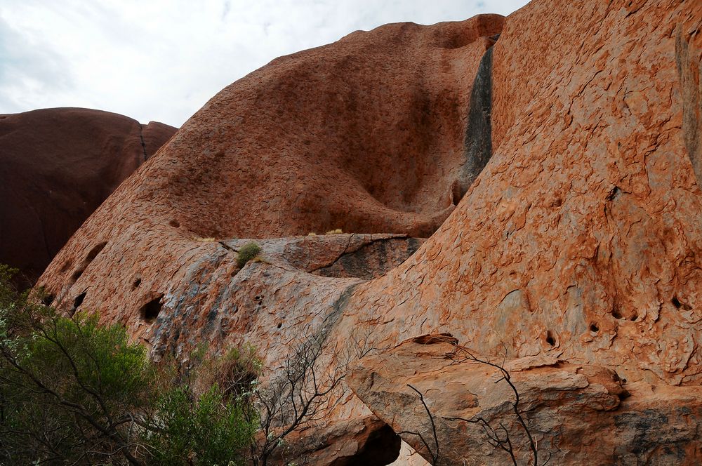 Uluru Dream [15]