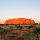 Uluru Dream [5]