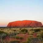 Uluru Dream [6]