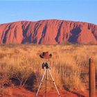 Uluru