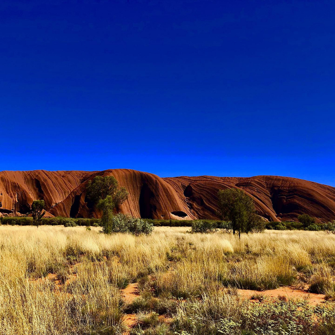 Uluru - ein Traum wird wahr