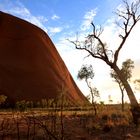 Uluru - Erstes Tageslicht