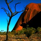 Uluru